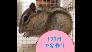 シマリス（小動物）の家づくり