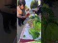 菜市場偷吃的可愛小兔the little rabbit stealing food in the market china chinese 中國人的日常 生活在中國