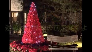 【クリスマス】【五十嵐邸ガーデン】【ザ　レストランスワンレイク】　僕の想い　編