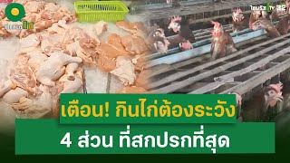 เตือน! กินไก่ต้องระวัง 4 ส่วน ที่สกปรกที่สุด | ข่าวใส่ไข่