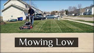 First Time Mowing Low on Front Yard + New Shed Project