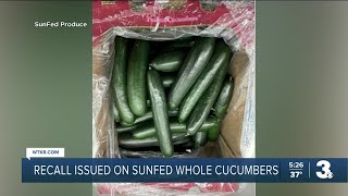 Recall issued for SunFed whole cucumbers due to possible Salmonella contamination