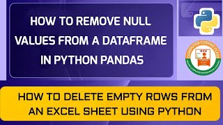 How To Remove NULL Values From DataFrame In Python | Remove Empty Rows From DataFrame In Python