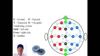 10-20 EEG Electrode placement | Dr. K. S. Holkar