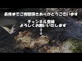 水の音 流水音 トイレ用bgm