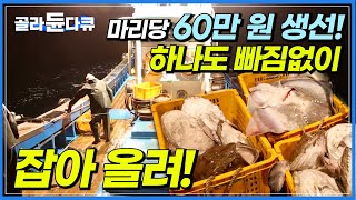 ‘한 마리도 놓치면 안된다!’ 마리당 60만 원! 주낙에 줄줄이 걸려 올라오는 최고급 자연산 흑산도 홍어🐟 │ 신안 흑산도 홍어잡이 배 │ 홍어앳국 │ 한국기행 │ #골라듄다큐