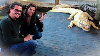 Gatorland’s $2,000,000.00 RARE Leucistic Alligator