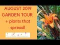 August garden tour + tips on plants that spread