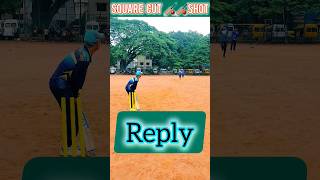 Play🏏🏏 Square Cut Shot in Cricket || Boundary or Not ? || #shorts #youtubeshorts #talbakhrarbat