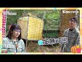 機智校園生活 下課生活ep37 哈福漆彈大作戰 寶仔cp越打越上頭 tvbs 42台