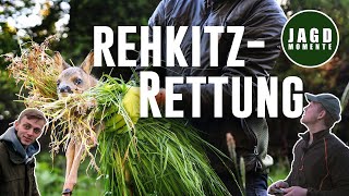 Rehkitze retten mit Drohne - Forst erklärt \u0026 Jagdmomente