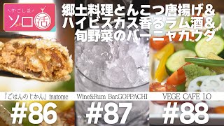 豚骨から揚げ\u0026ラム酒バー\u0026鮮やか旬野菜「『ごはんのじかん』inatome」「Wine\u0026Rum Bar.GOPPACHI」「VEGE CAFE LO」かごしまソロ活 #86 #87 #88