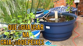 Que água eu devo usar na minha criação de peixe 😲🐟🌱