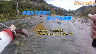 釣りバカ速報　10月9日号　水窪川で友釣りまだイケる