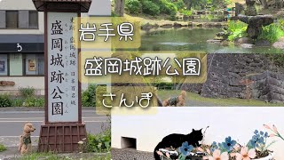 盛岡城跡公園をさんぽ(岩手県盛岡市)