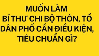 Điều kiện, tiêu chuẩn để làm bí thư chi bộ thôn, tổ dân phố