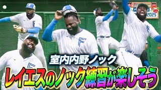 レイエスの内野ノックが楽しそうなので是非みてほしいシーン＜2/21ファイターズ春季キャンプ2025＞