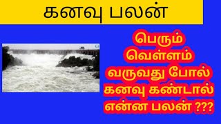 பெரும் வெள்ளம் வருவது போல் கனவு கண்டால் என்ன பலன்/Kanavu palangal All in one Nandhini/dream