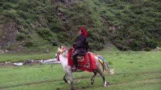 Horse ride in Tibet