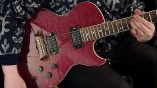 Струнодер 2.0 - Washburn RR150 Sammy Hagar with Fishman Piezo