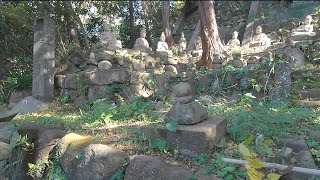 鎌倉山　「檑亭」の庭園　昔は「清香園」という個人の邸宅でした