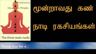 குண்டலினி - மூன்றாவது கண் நாடி ரகசியங்கள் | moondravathu kan nadis