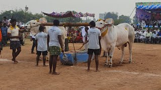 యేల్చల ప్రసన్న రెడ్డి (YPR Bulls)4533.5Ft \u0026 గణేష్ చౌదరి గారు  In 20Min  న్యూకేటగిరి Koppuravuru-2021