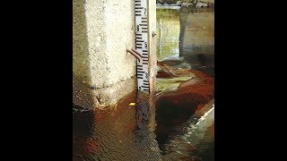 Safe staff gauge reading with drone