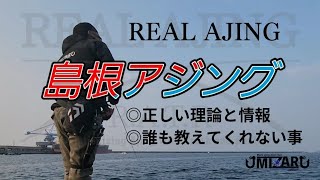 REAL島根アジング　