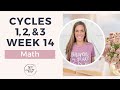 CC Cycles 1, 2, & 3 Week 14 Math