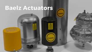 Pneumatic & Electric Actuators