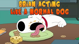 Best of BRIAN being a DOG || Family Guy