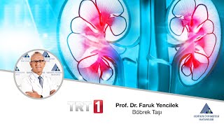 Böbrek Taşı / Prof. Dr. Faruk Yencilek