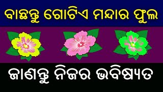 ବାଛନ୍ତୁ ଗୋଟିଏ ମନ୍ଦାର ଓ ଜାଣନ୍ତୁ ନିଜର ଭବିଷ୍ୟ // Bachantu gotie mndara phula janantu nijara bhabisyata