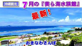 ◤沖縄観光☂雨の日もOK◢  2023年７月『美ら海水族館 in 海洋博公園』 ♯546  沖縄旅行 おきなわさんぽ 沖縄散歩