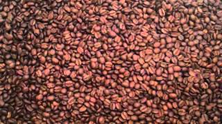 Yemen Mocha Haraazi  Roast Level  and  Price Talk