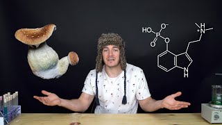 I Was WRONG About Magic Mushrooms