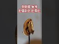 커피 로스팅이 어렵다는 이유