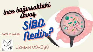 GEÇMEYEN İSHAL ( SİBO ) NEDİR ?