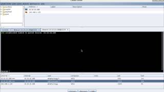 Cobalt Strike 2.5 - Lateral Movement with Beacon