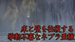 [MH3G]休眠が下手すぎて挙動不審になるギギネブラ亜種の小ネタ[ゆっくり実況]