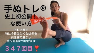 ３４７回目❣️初出し！！手ぬぐいをこうやって使う！？？これでふくらはぎを引き締めます。