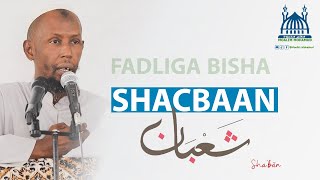 FADLIGA BISHA SHACBAAN | MACALIN MAXAMUUD