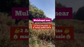 per Acre- 33 lakhs only || mulabagal near || 2 Acres 30 guntas mango graden sale 🥭🏠