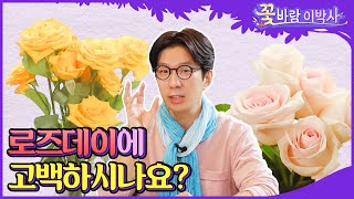 장미선물은 이렇게 하는겁니다💐