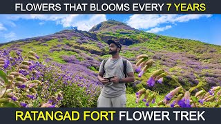 Ratangad Fort Trek : Flowers That Blooms Every Seven Years - Jewel of Sahyadris - किल्ले रतनगड #vlog