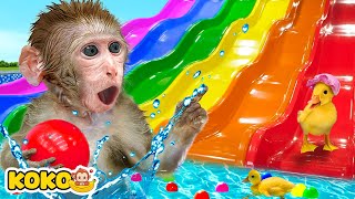 Monkey Koko Play On Rainbow Waterslide And Go Swimming So Fun | KUDO KOKO CHANNEL