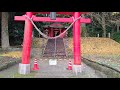 鷹屋神社のいちょう 2021 11 22