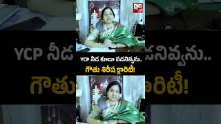 Gouthu Sireesha Reaction Jogi Ramesh Issue | YCP నీడ కూడా పడనివ్వను..గౌతు శిరీష క్లారిటీ! | BIG TV