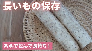 【長芋の保存】キッチンペーパーを使うと長持ち！（島本美由紀の保存から食品ロス削減）